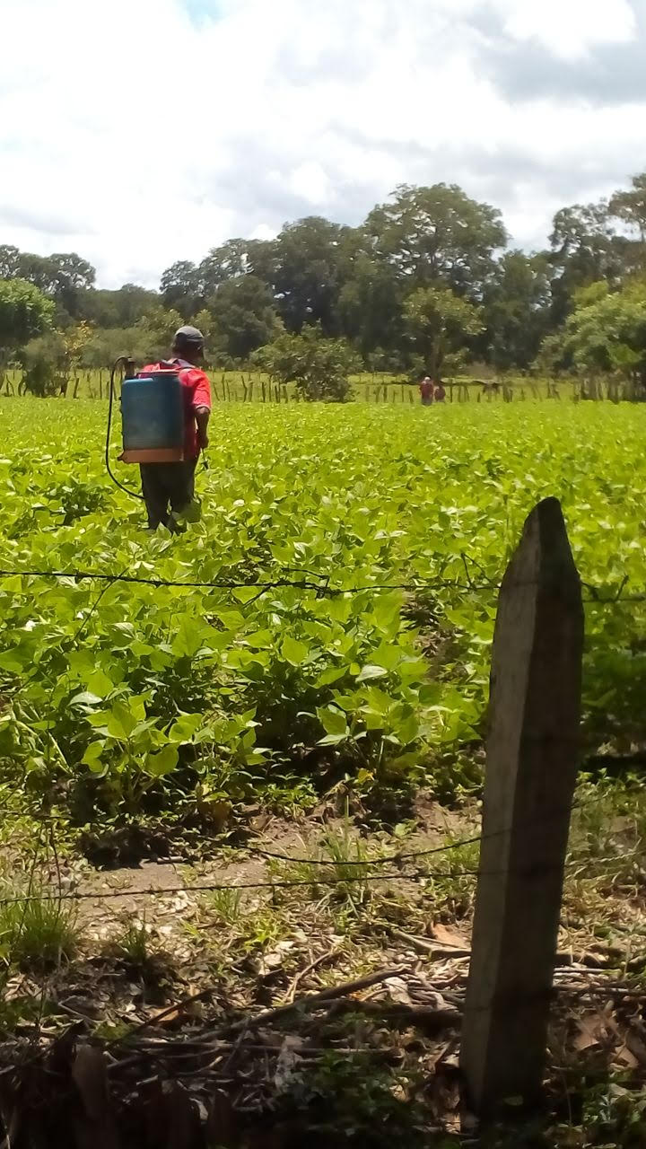 Productores2